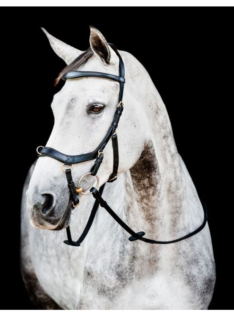 Riendas Horseware Micklem Multibridle Original Marrón