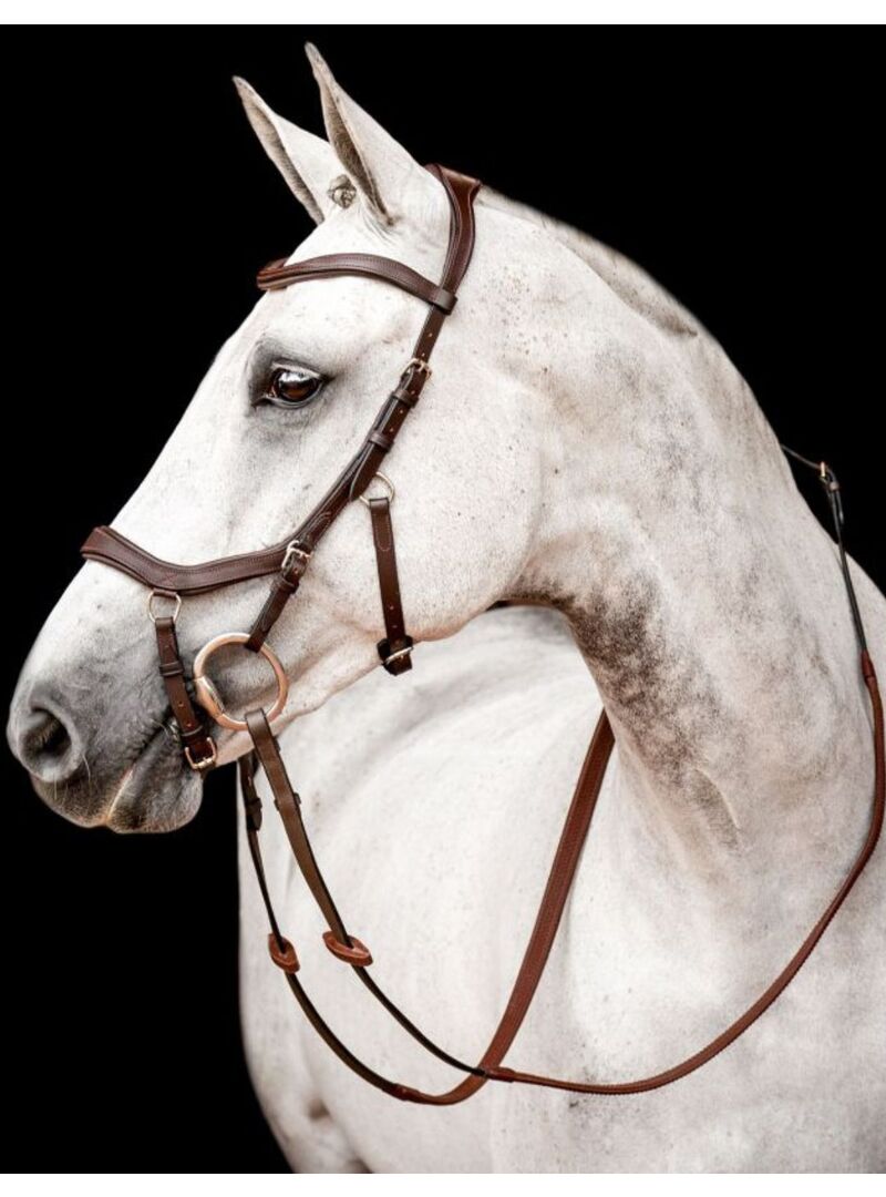 Riendas Horseware Micklem Competition Bridle Marrón