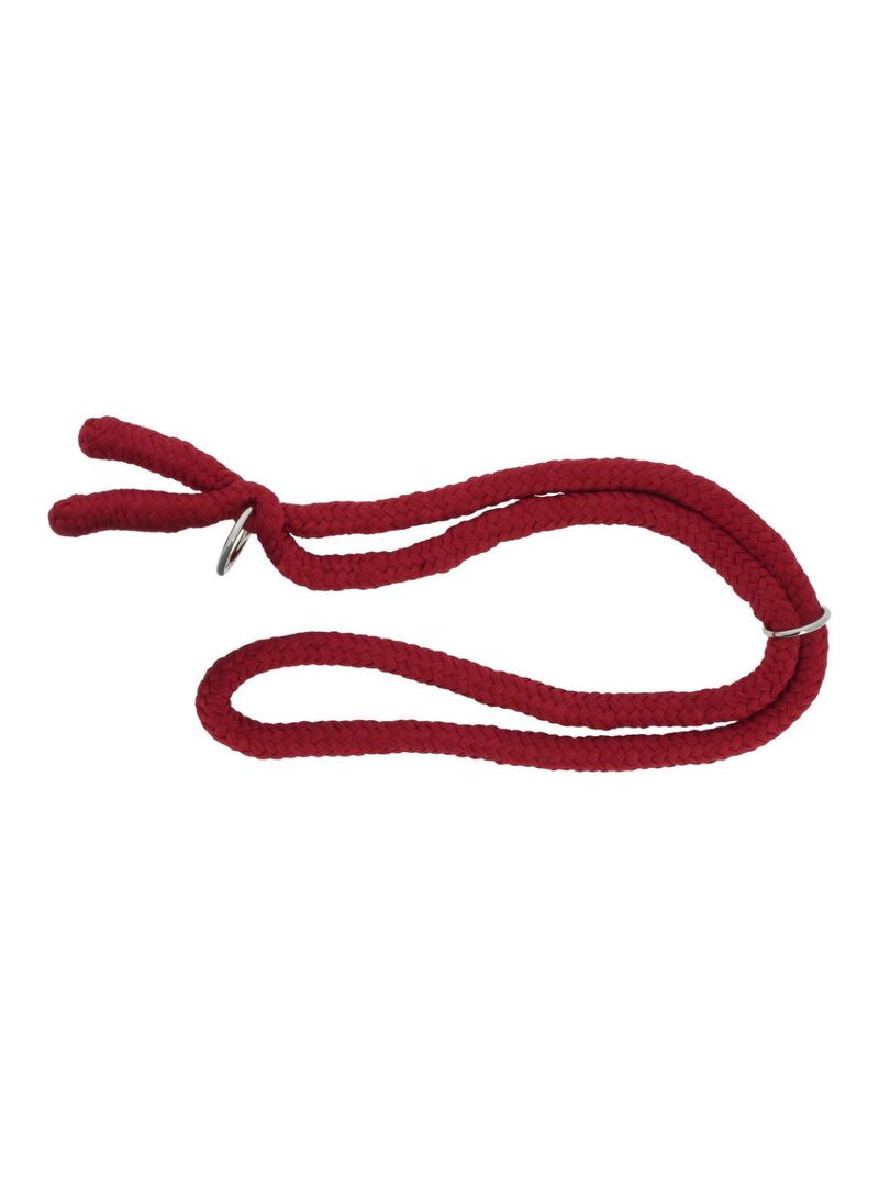 Collar Etológico Norton Negro