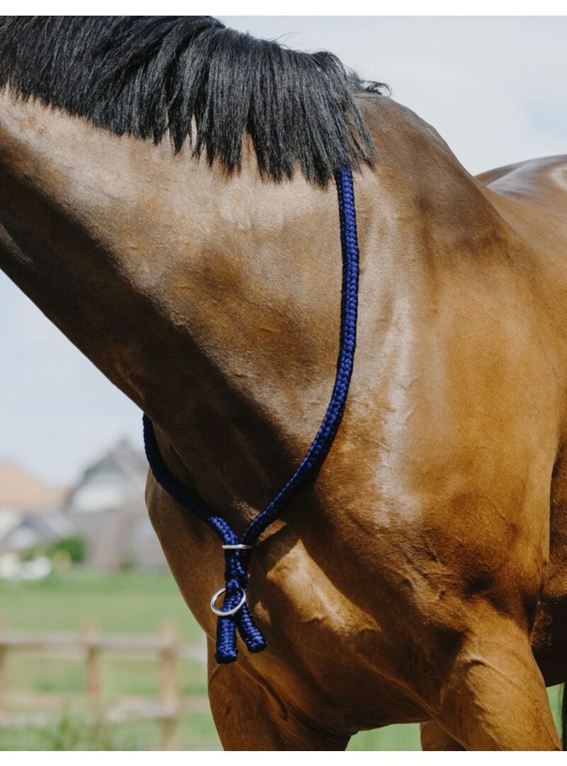 Collar Etológico Norton Azulón