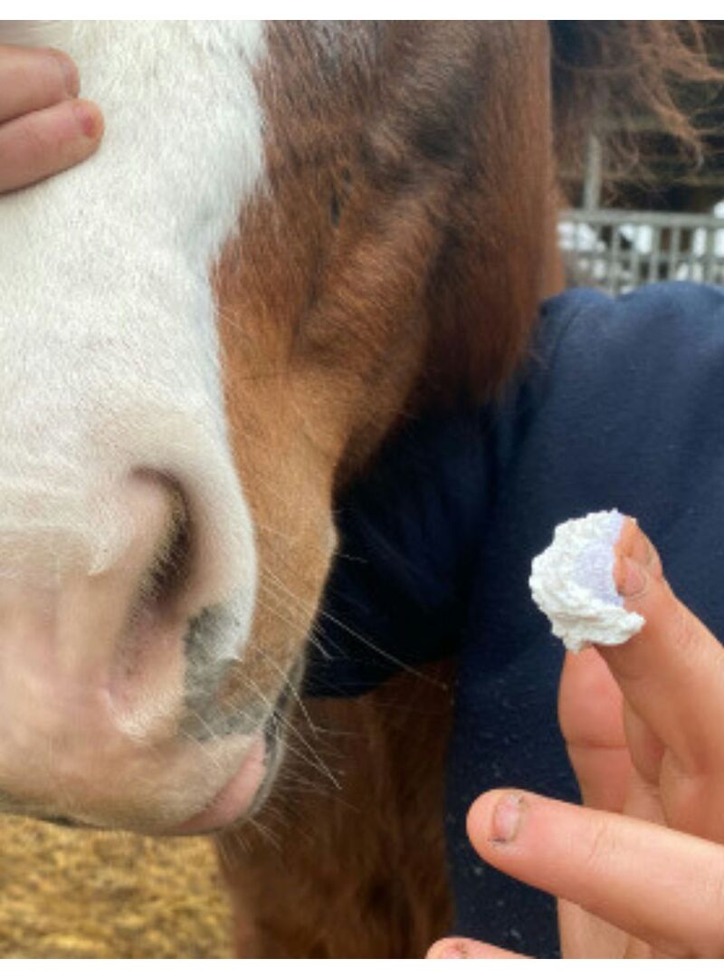 Protección Solar Animaderm “Solaren” Sol